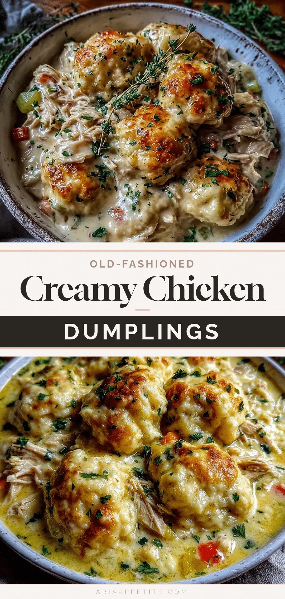 creamy old-fashioned chicken and dumplings recipe
