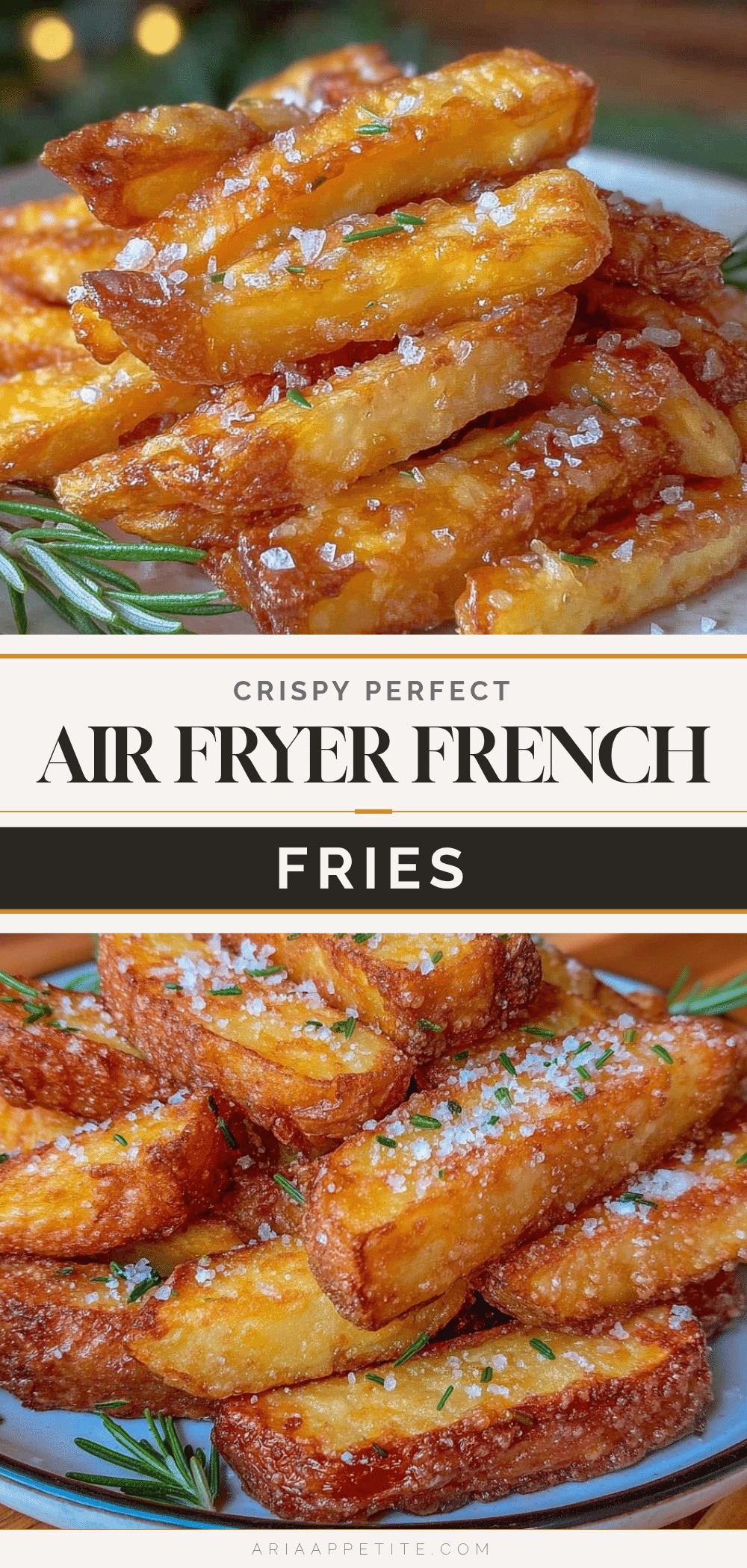 crispy air fryer french fries recipe