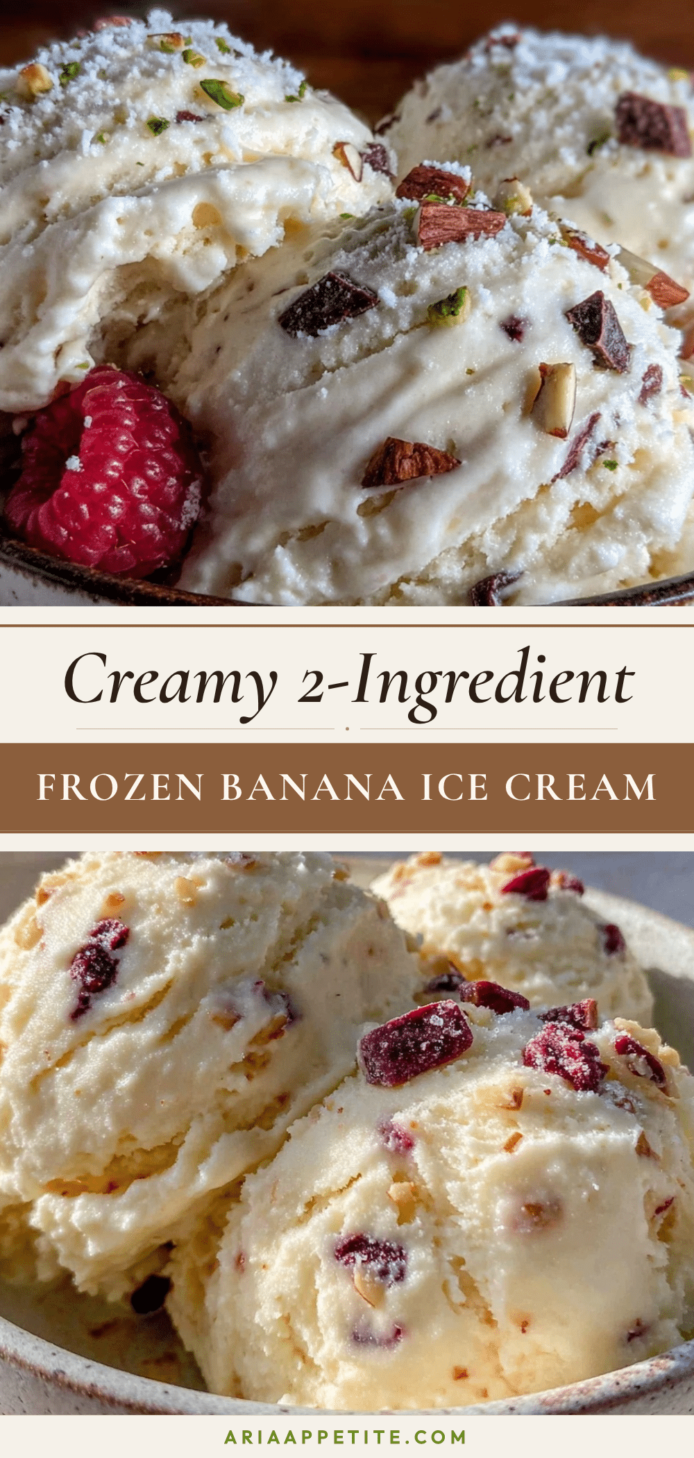 frozen banana ice cream recipe