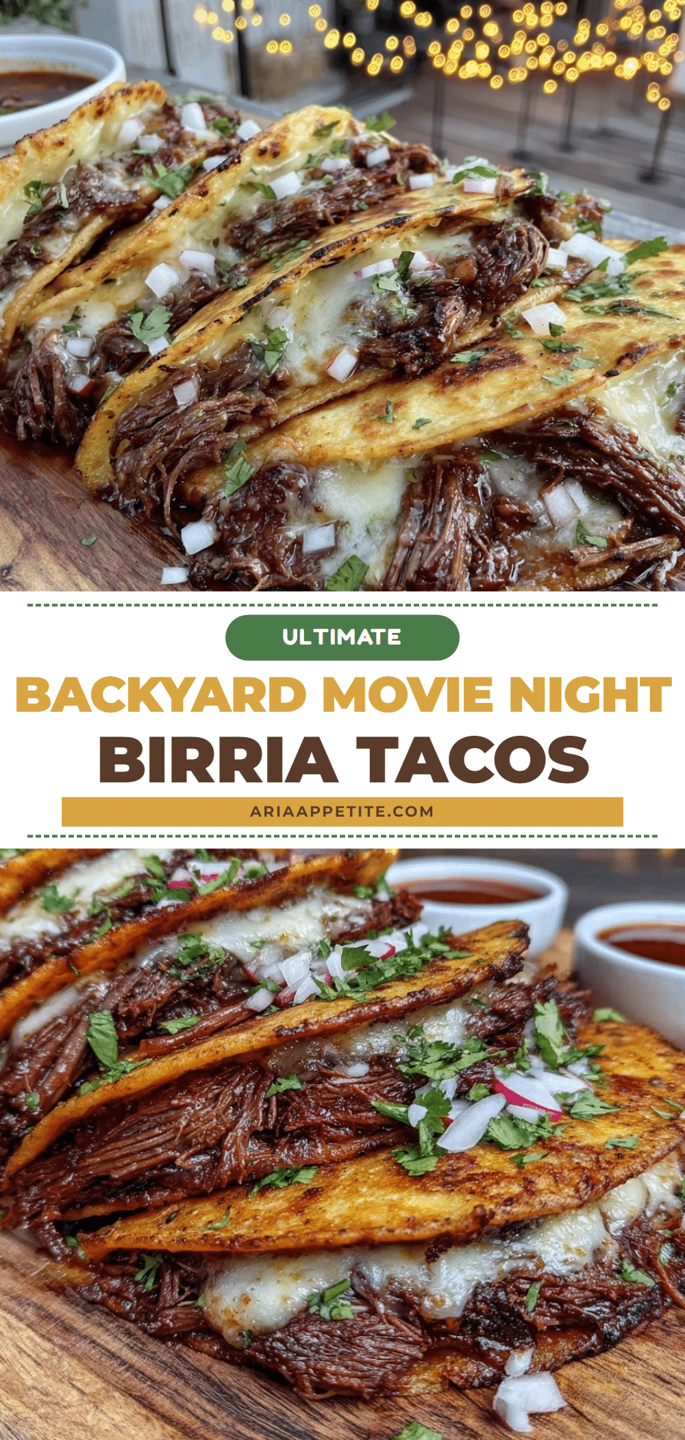 birria tacos recipe recipe