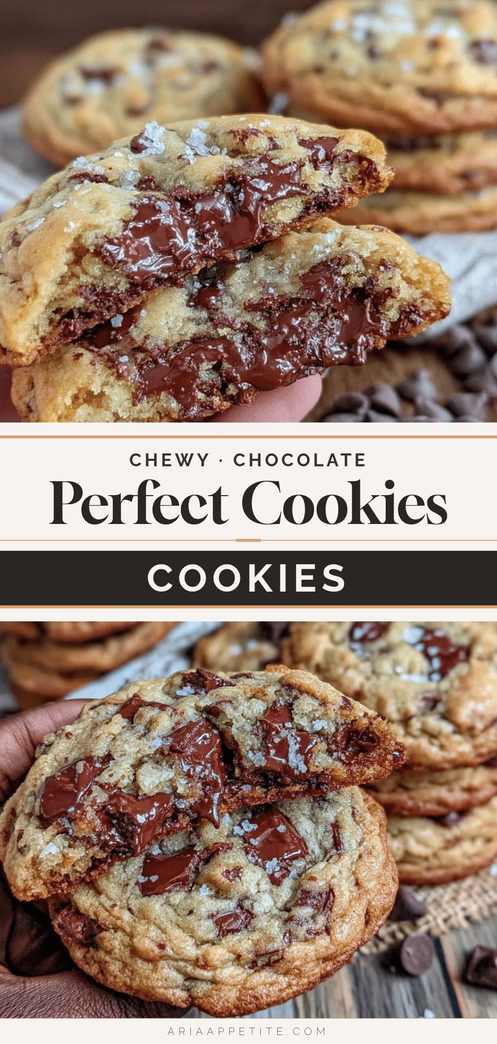 chewy chocolate chip cookies recipe