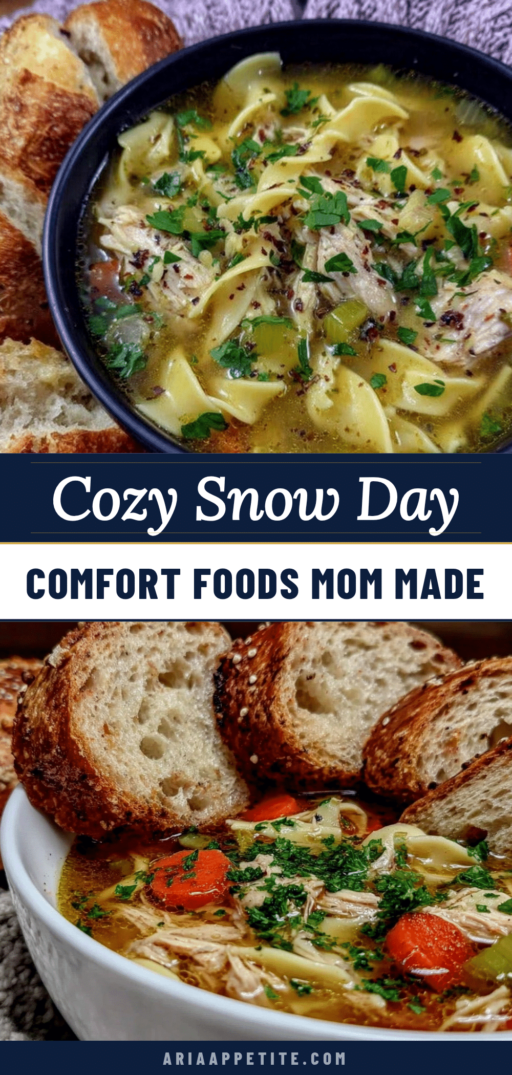cozy chicken noodle soup recipe recipe