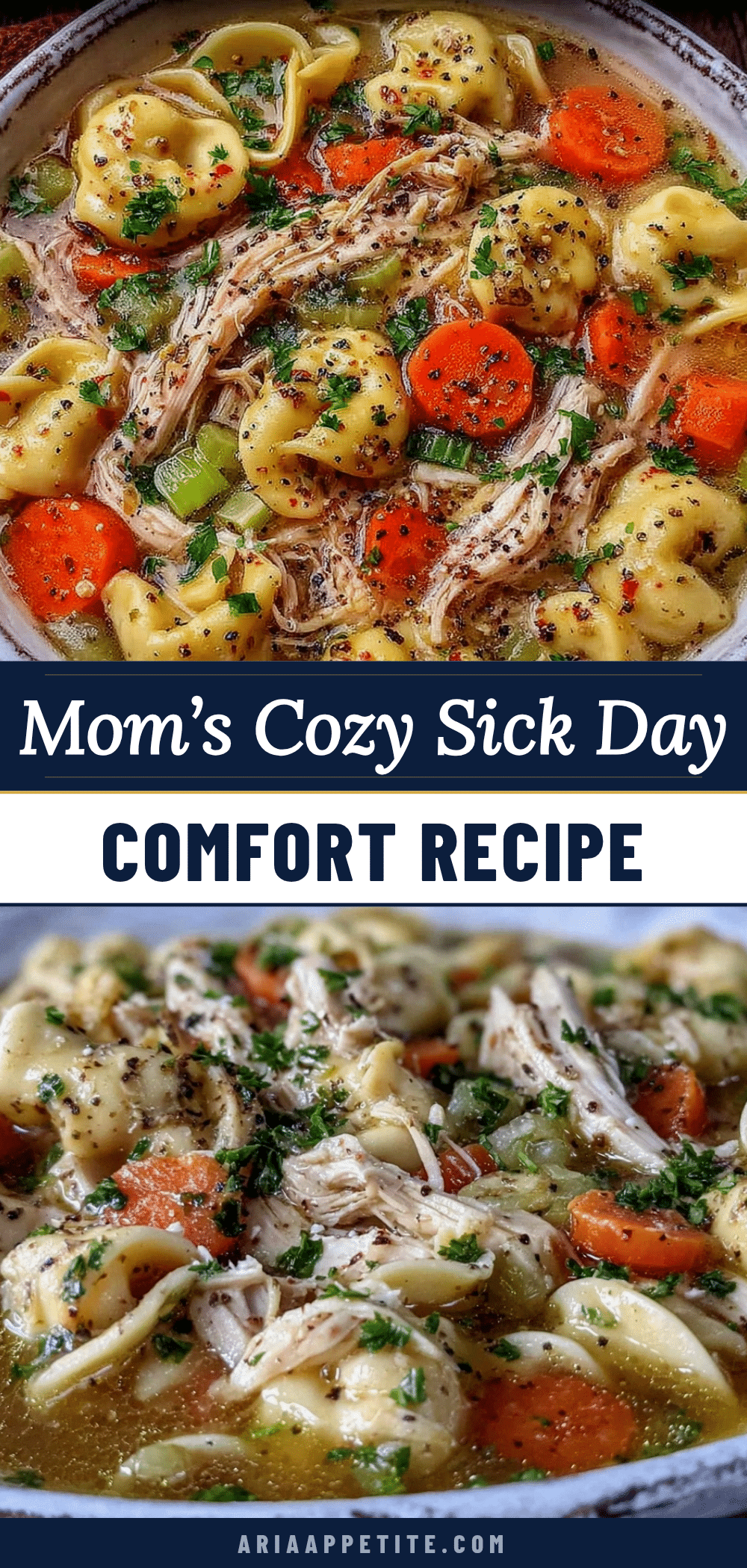 cozy sick day chicken noodle soup recipe