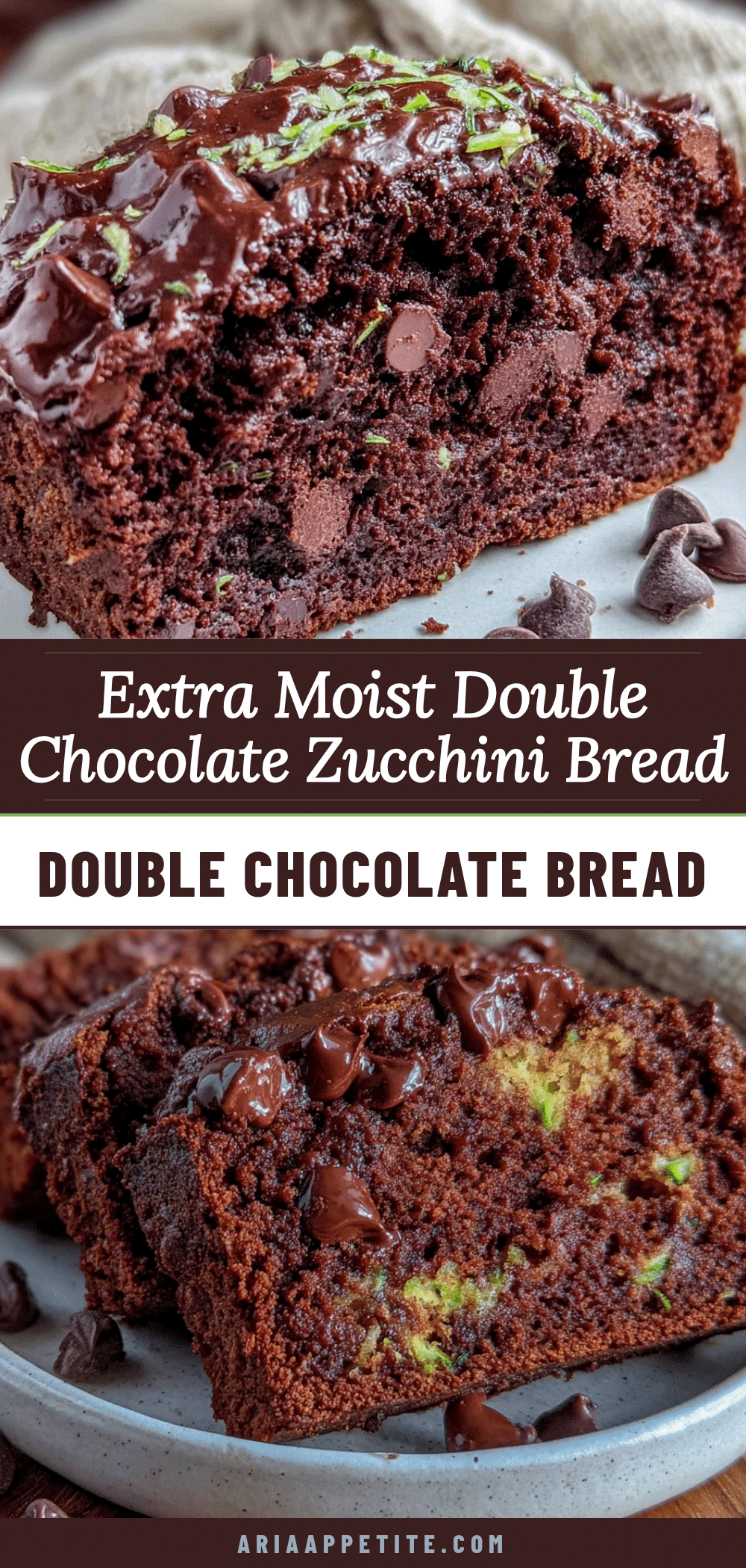 moist double chocolate chip zucchini bread recipe
