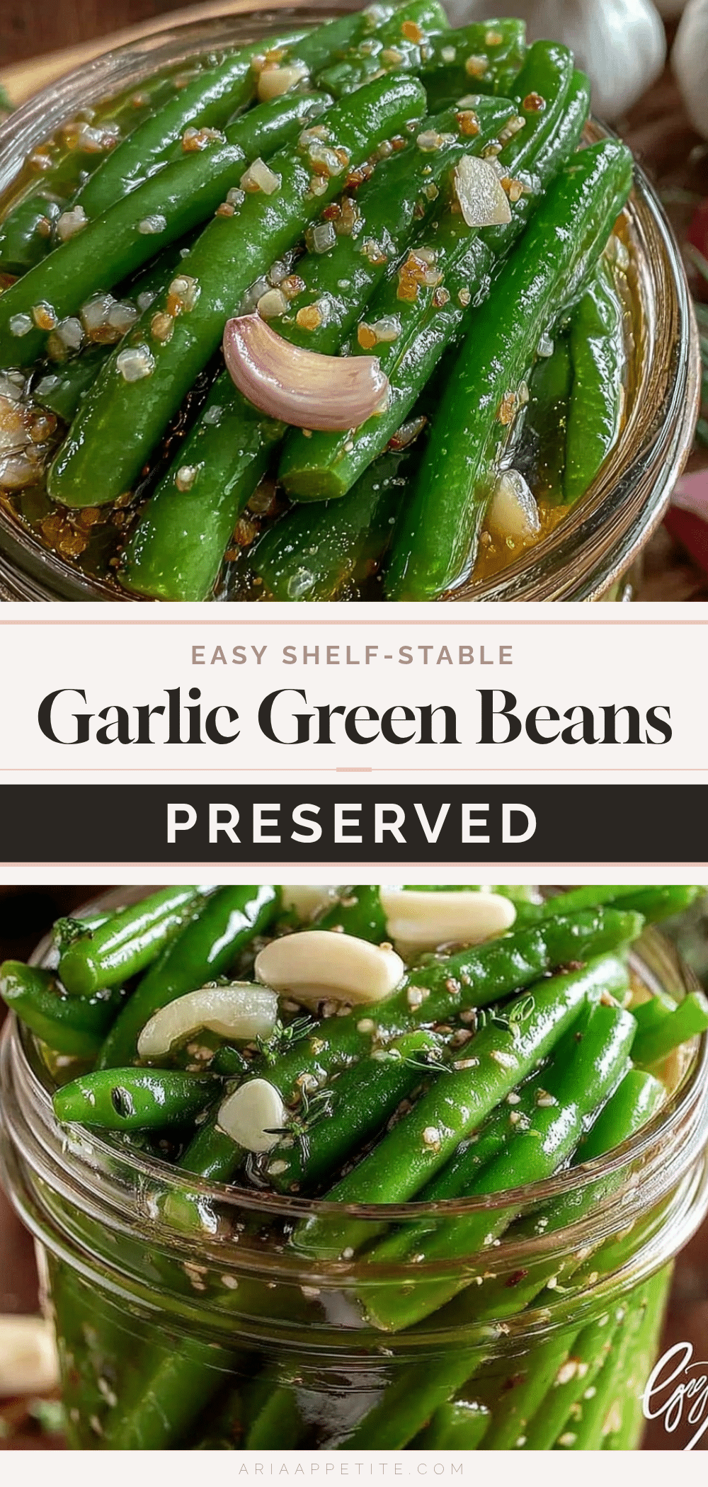 shelf stable pressure canner green beans with garlic recipe