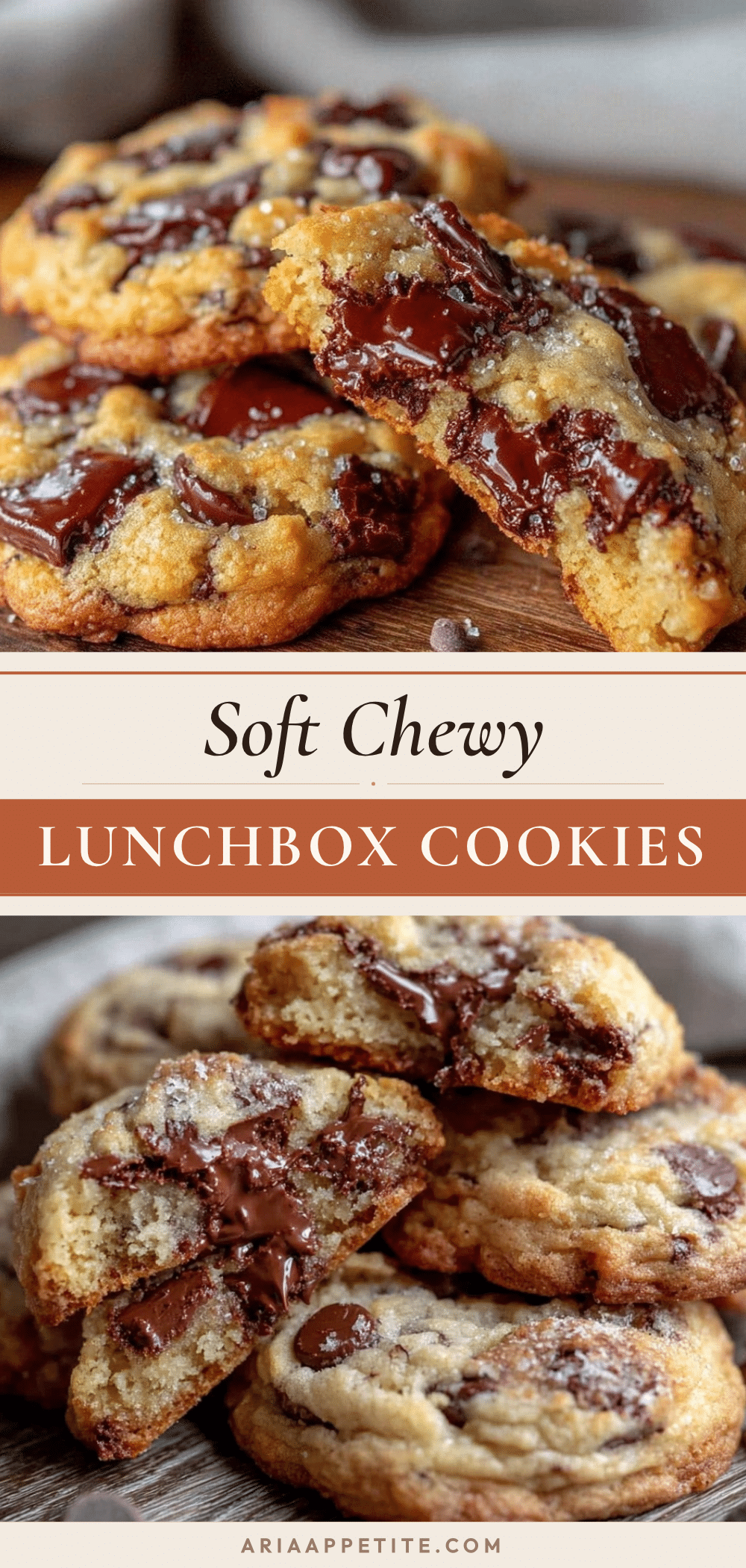 tender soft and chewy chocolate chip cookies recipe