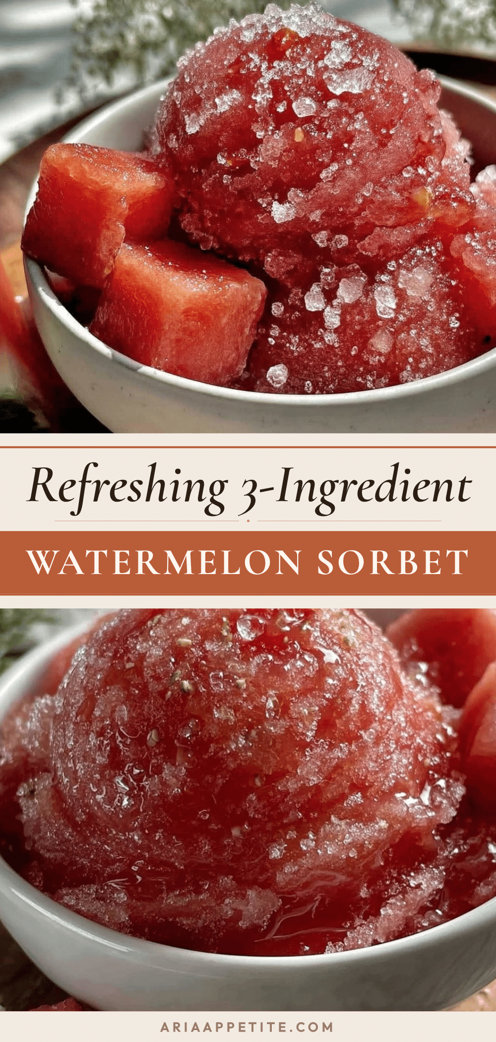 watermelon sorbet recipe recipe