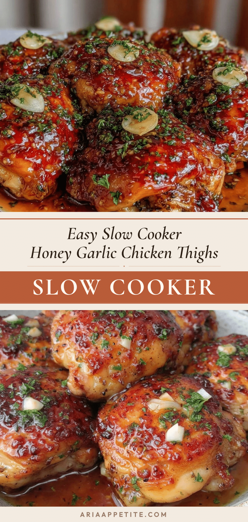 easy slow cooker honey garlic chicken thighs recipe