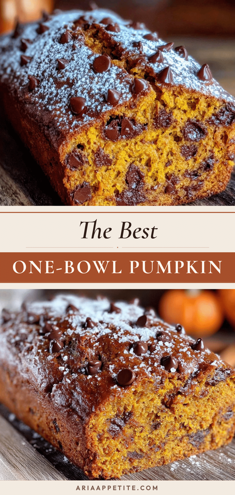 best one-bowl chocolate chip pumpkin bread recipe