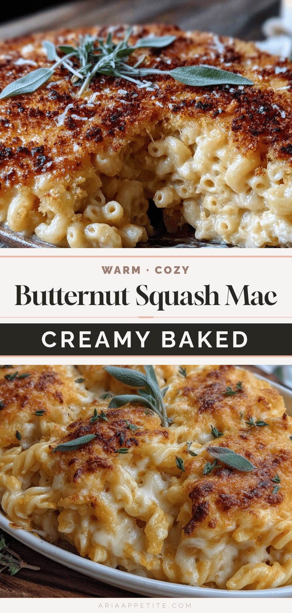 creamy butternut squash mac and cheese bake recipe