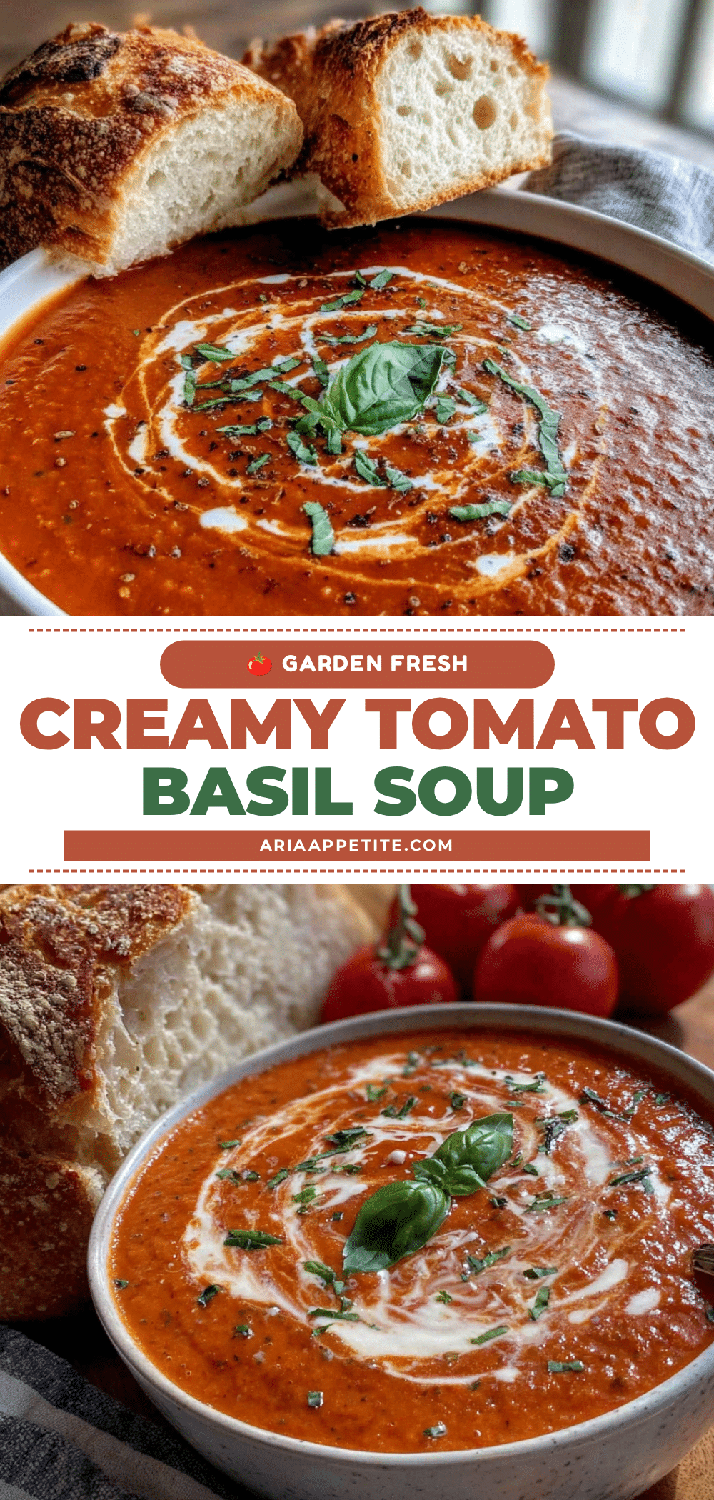creamy tomato basil soup recipe