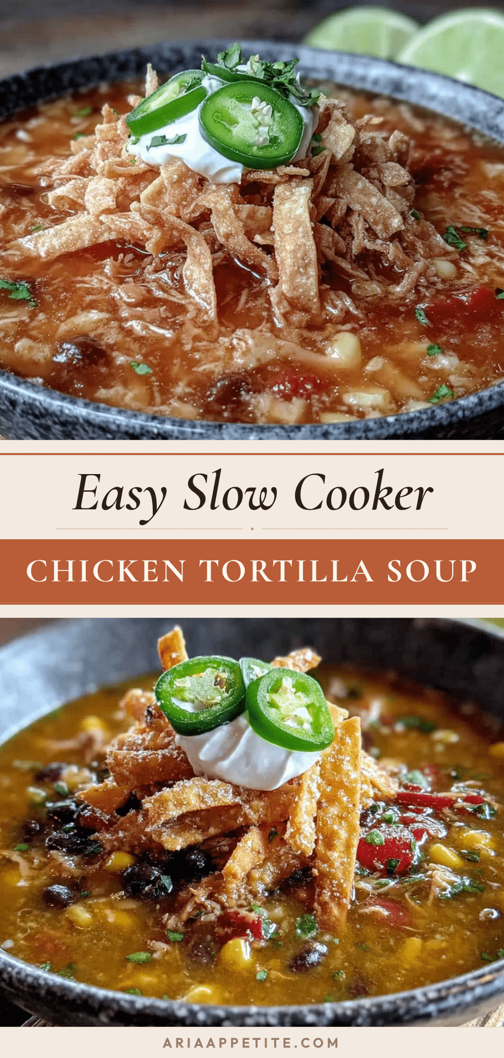 crockpot chicken tortilla soup recipe