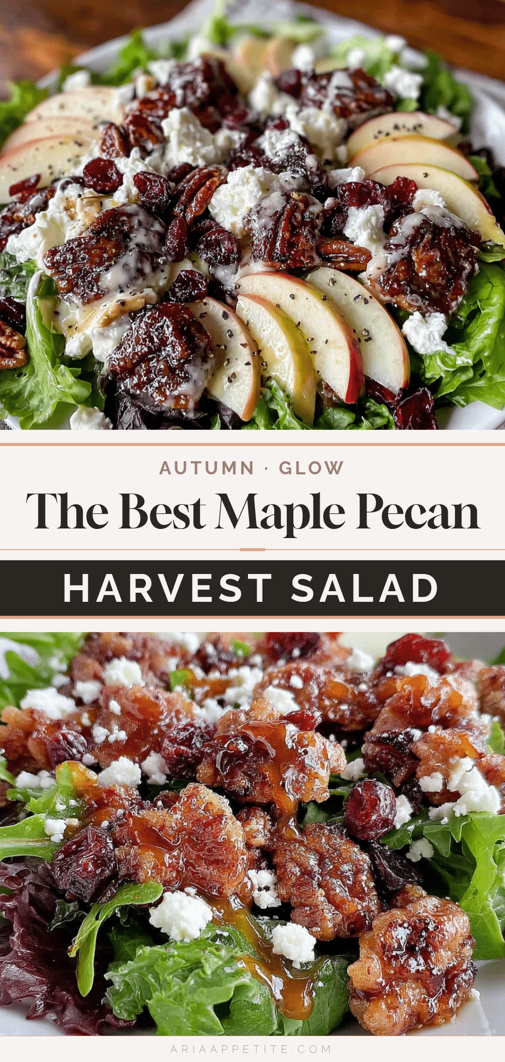 maple pecan harvest salad recipe
