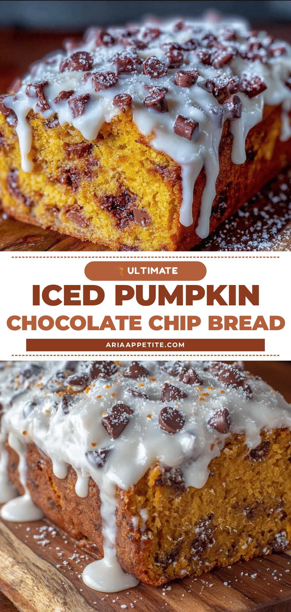 perfect iced pumpkin chocolate chip bread recipe