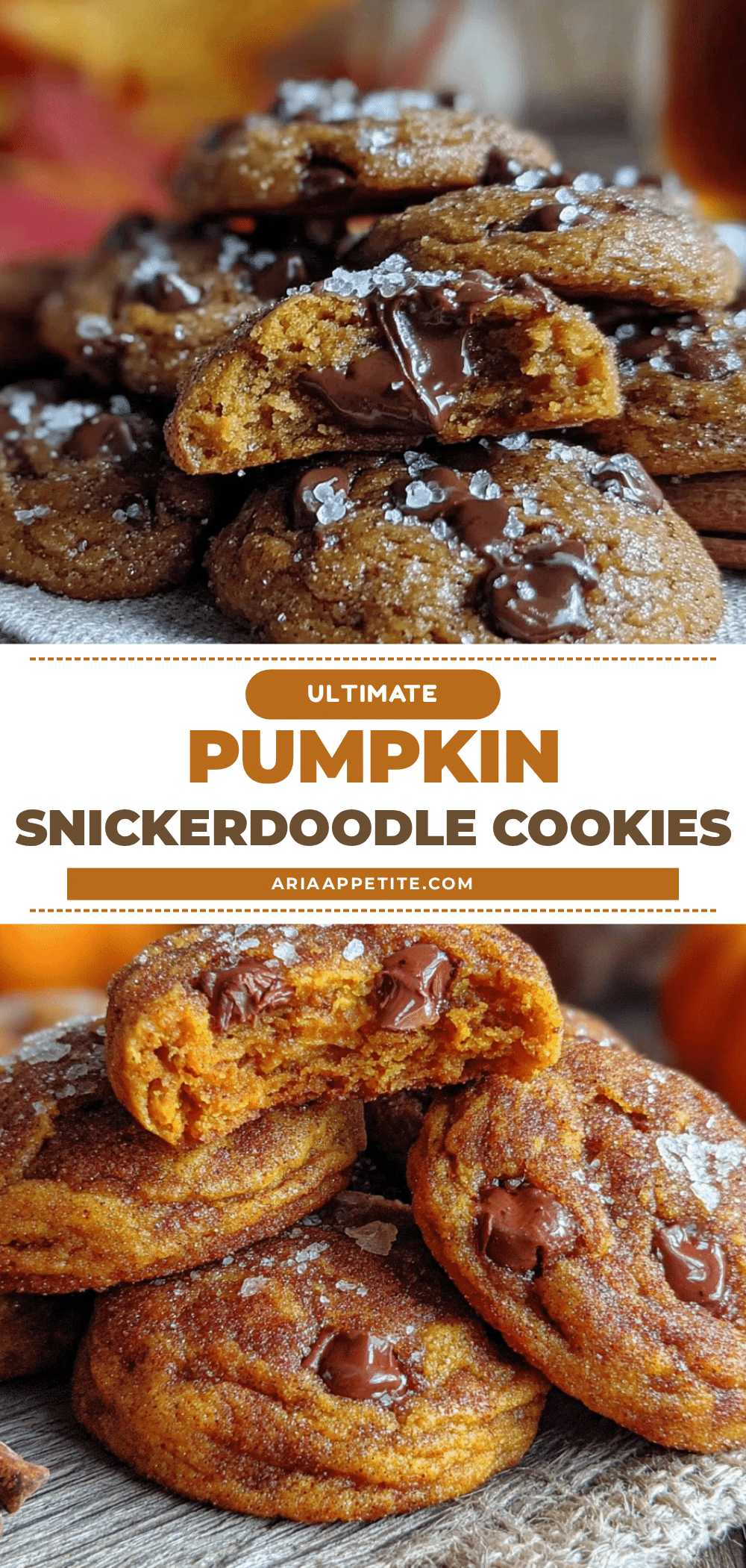 pumpkin chocolate chip snickerdoodle cookies recipe