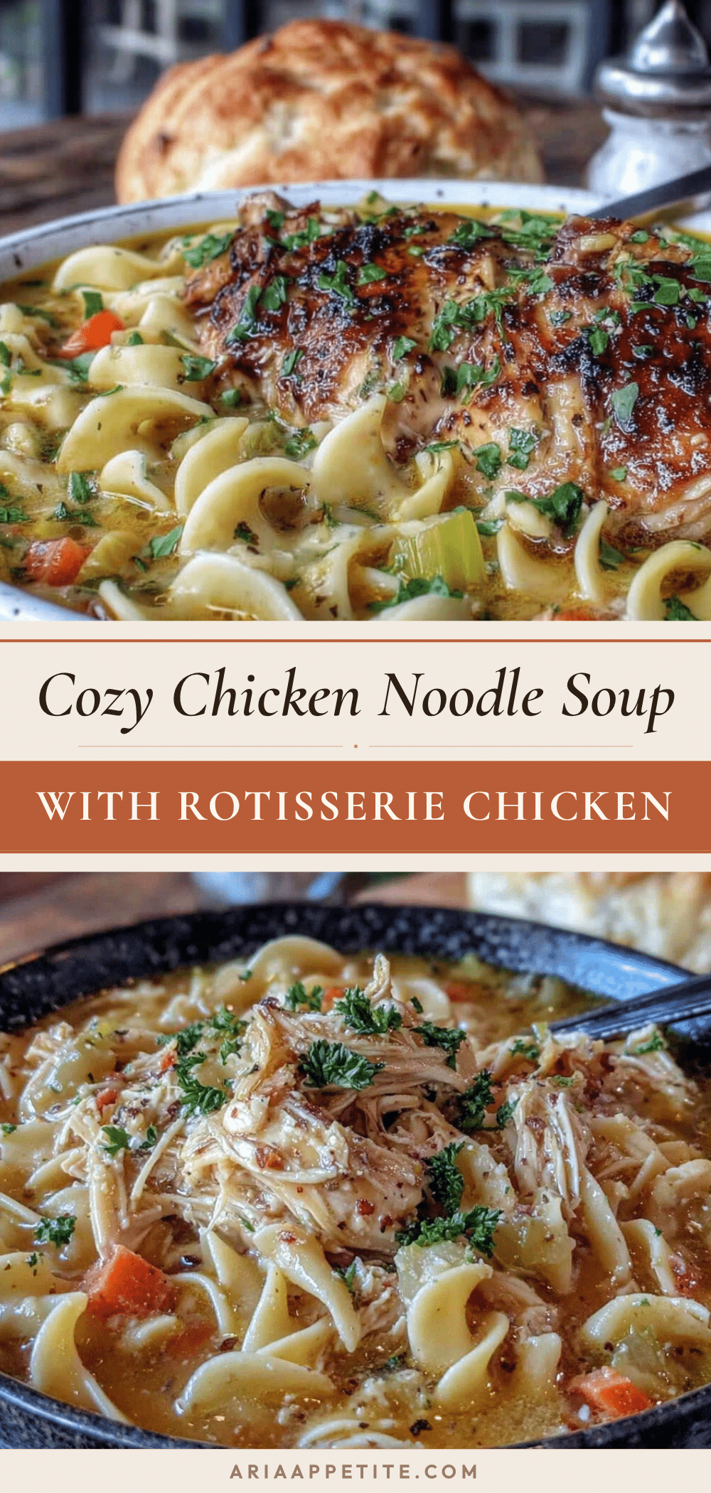 chicken noodle soup with rotisserie chicken recipe