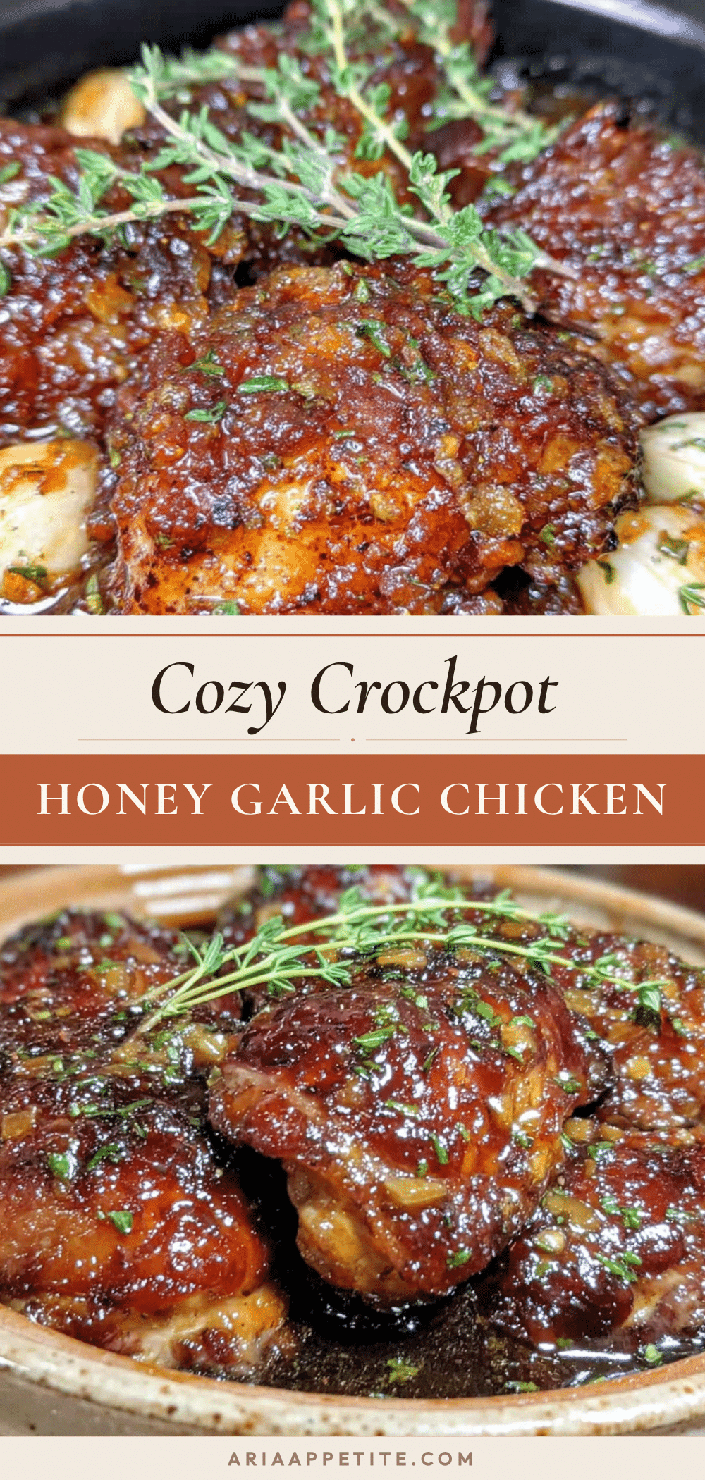 crockpot honey garlic chicken thighs recipe