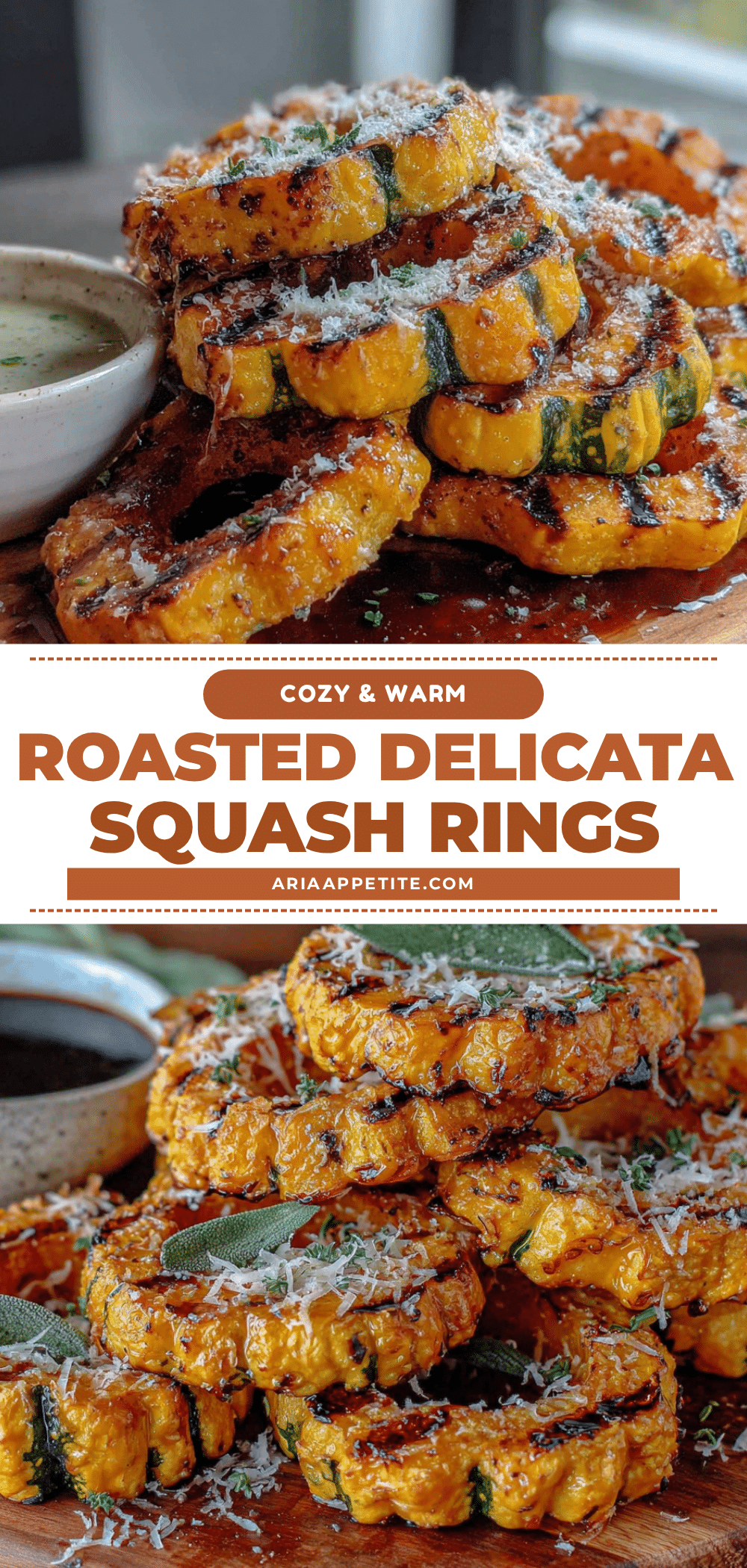 roasted delicata squash rings with parmesan recipe