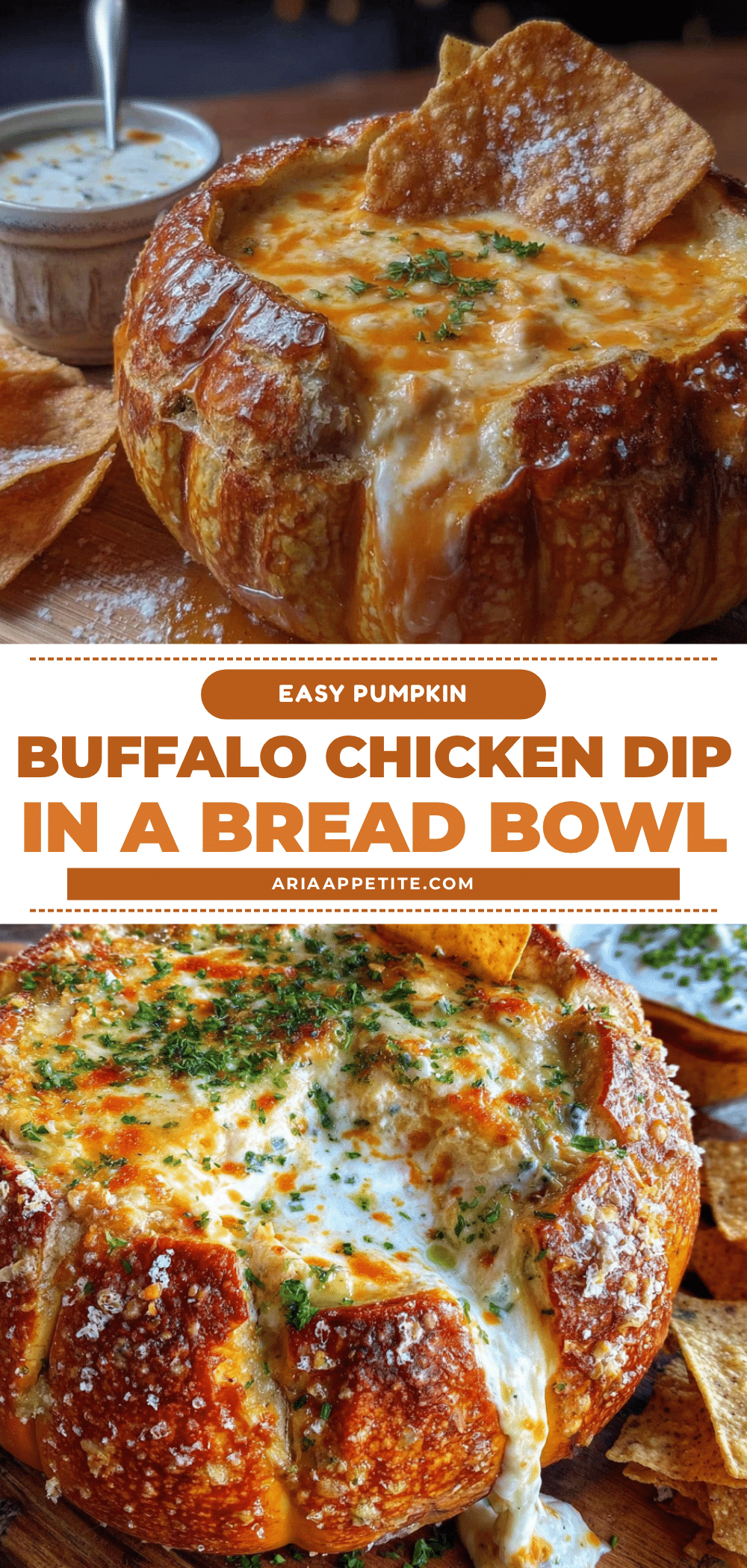 buffalo chicken dip in pumpkin recipe