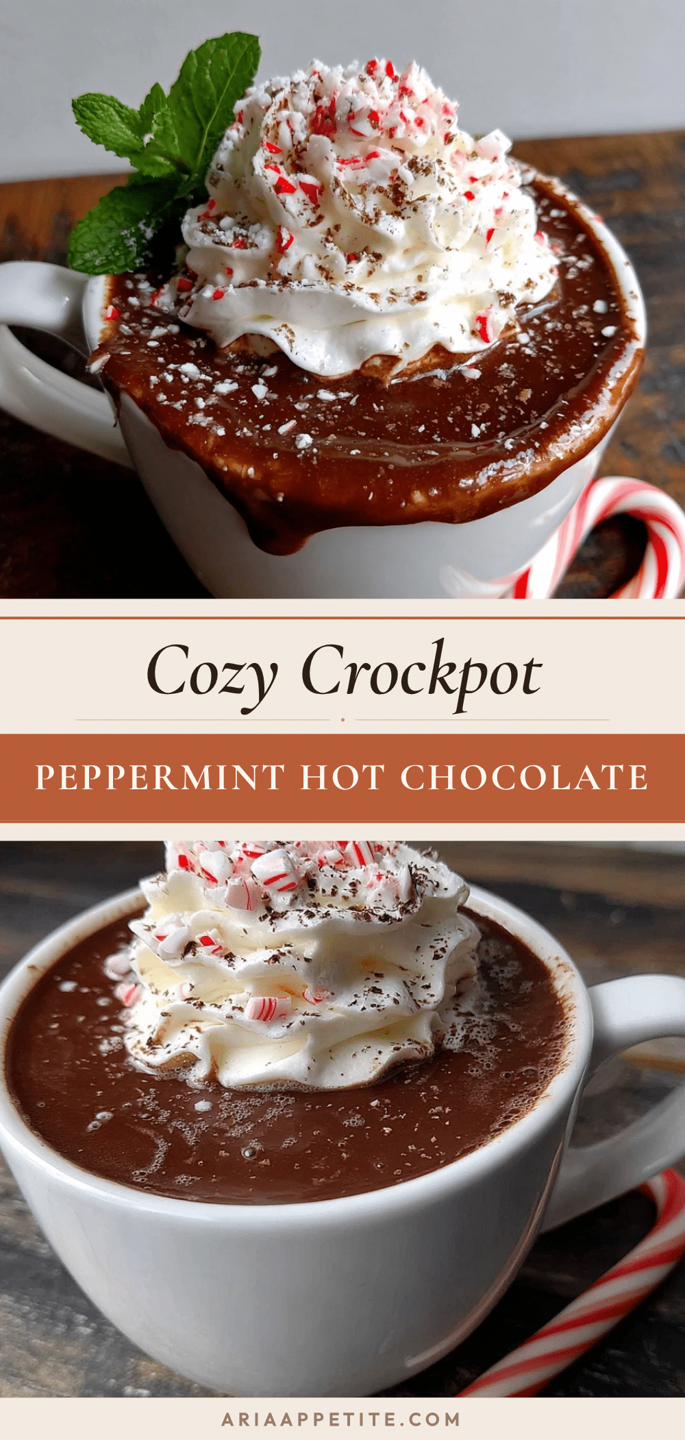 crockpot peppermint hot chocolate recipe