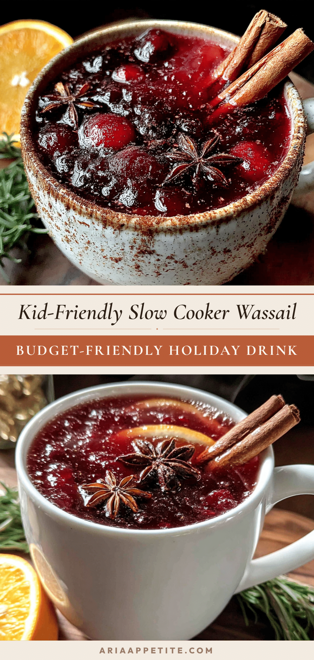 slow cooker wassail recipe